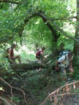 natuurlijke hindernissen