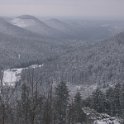 IMGP0498