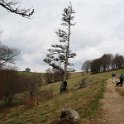 IMG_1623
