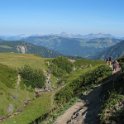 IMG_8217
