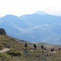 IMG_8504