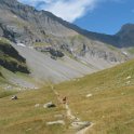 IMG_8603