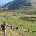 IMG_8625