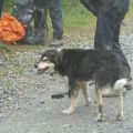 GR5P1020075.jpg